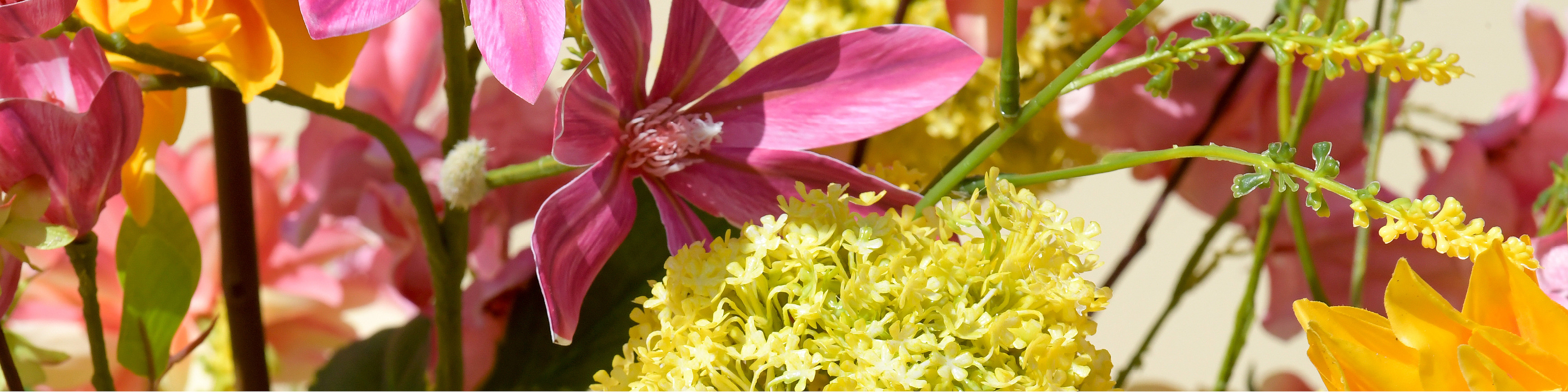 Pagina header - Contact